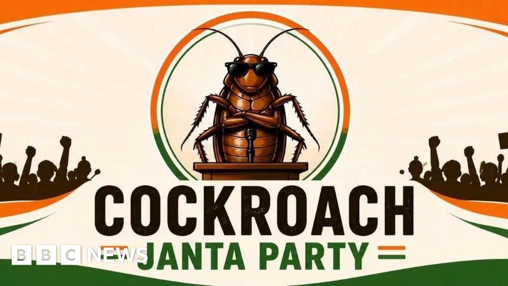 BBC: Cockroach Janta Party Becomes India's New Political Superstar